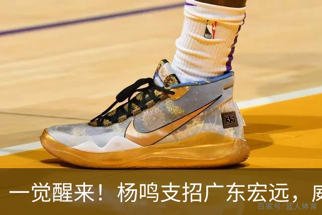 一觉醒来！杨鸣支招广东宏远，威姆斯毛遂自荐，宏远排名倒数第6！