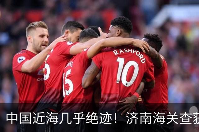 中国近海几乎绝迹！济南海关查获17只手镯，竟是由极危"国宝"制成