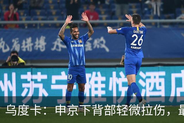 乌度卡：申京下背部轻微拉伤，最多缺席几场