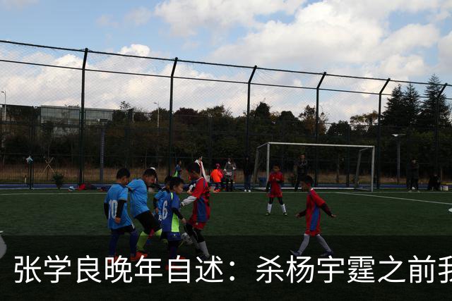 张学良晚年自述：杀杨宇霆之前我从不迷信，杀他之后我不得不信