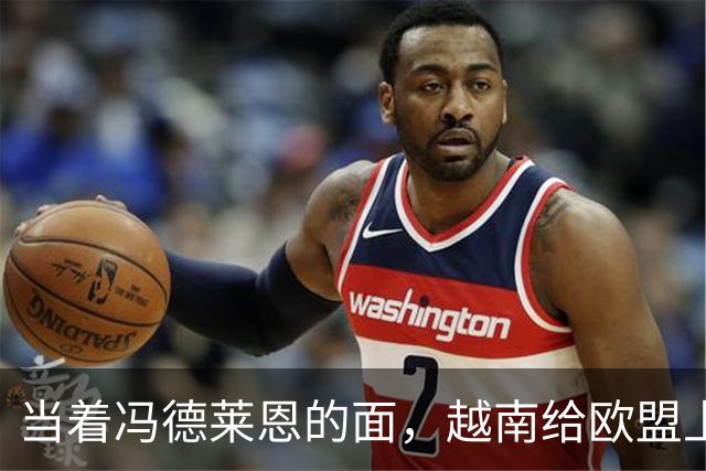 当着冯德莱恩的面，越南给欧盟上了一课：这就是“中国力量”