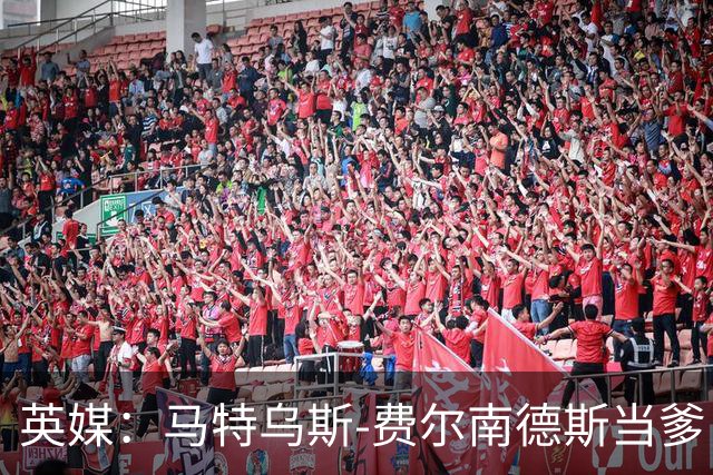 英媒：马特乌斯-费尔南德斯当爹，热刺准假陪产