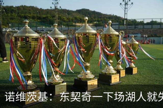 诺维茨基：东契奇一下场湖人就失控 替补没能承担起得分任务