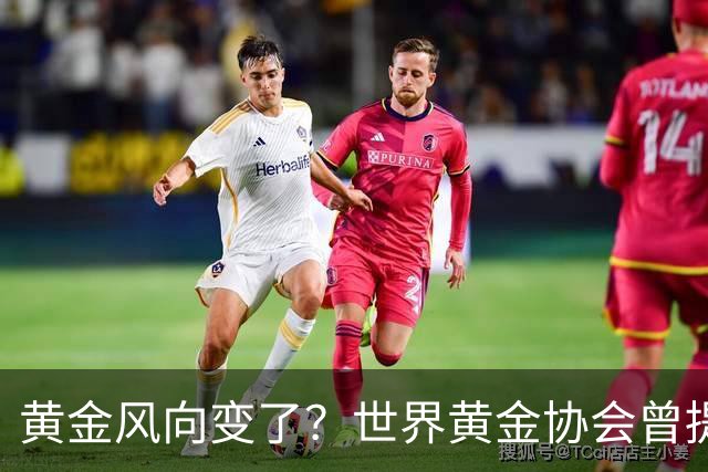 黄金风向变了？世界黄金协会曾提醒：今年下半年，或将迎来关键期